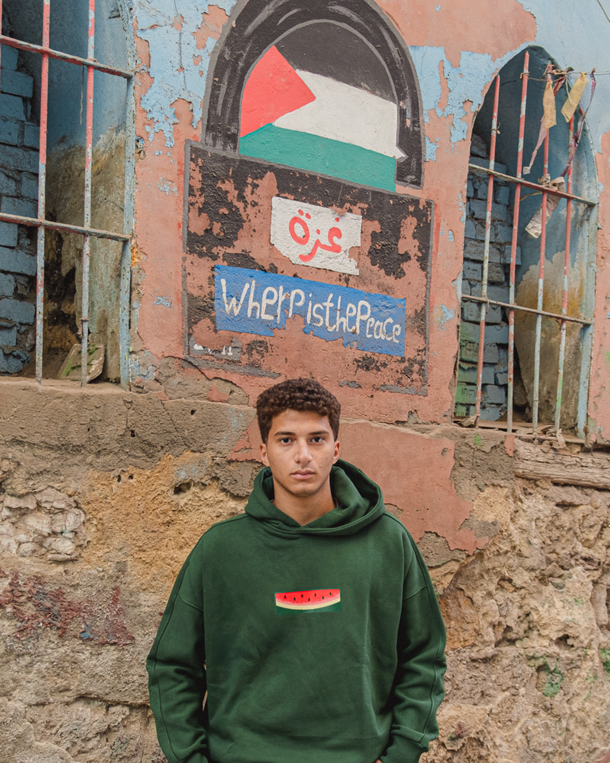 Palestine Hoodie