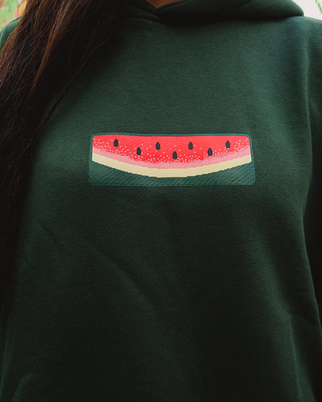 Palestine Hoodie
